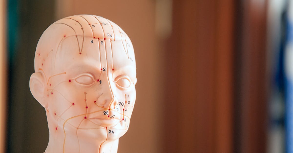 découvrez les bienfaits de l'acupression, une technique de médecine traditionnelle chinoise qui utilise la pression des doigts sur des points spécifiques du corps pour soulager le stress, améliorer la circulation et favoriser le bien-être général.