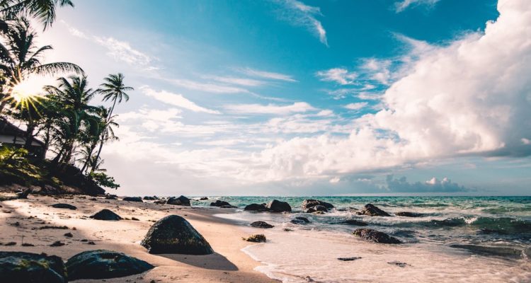 découvrez 'paradise', un voyage aux paysages enchanteurs et aux expériences inoubliables. plongez dans un monde de sérénité, de beauté naturelle et d'aventures exaltantes. votre évasion parfaite vous attend.