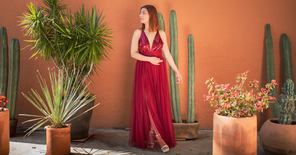 découvrez notre collection de robes en terracotta, alliant élégance et confort. parfaites pour toutes les occasions, ces robes aux tons chaleureux mettront en valeur votre silhouette et apporteront une touche de style à votre garde-robe.