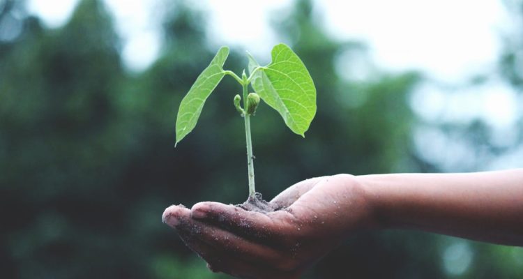 découvrez des stratégies efficaces pour accélérer la croissance de votre entreprise, attirer de nouveaux clients et optimiser vos performances commerciales en 2024.